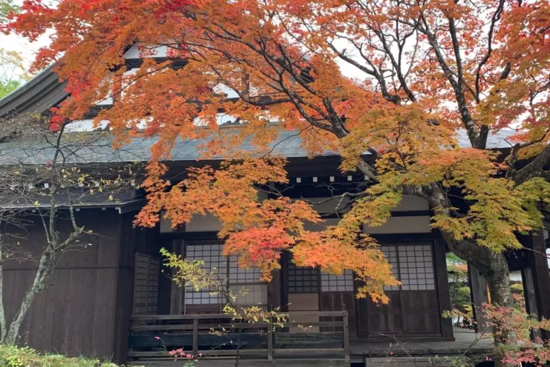 東山徒步之旅