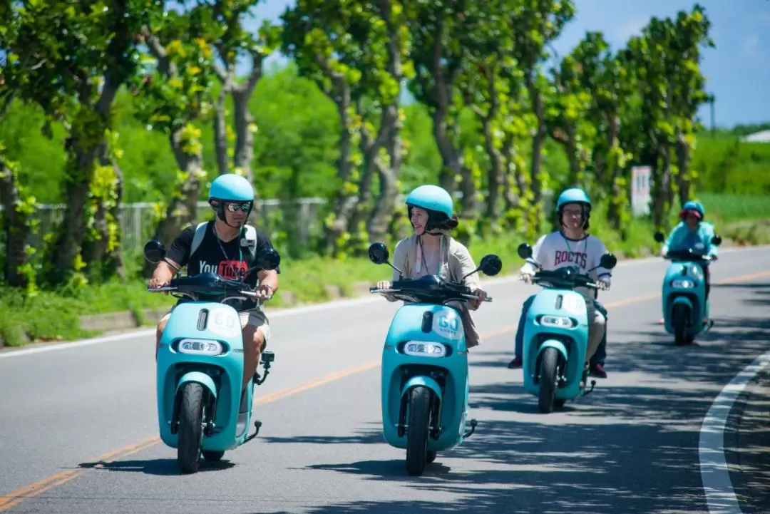 e-SHARE Electric Bike Rental for 1Day in Ishigaki Island