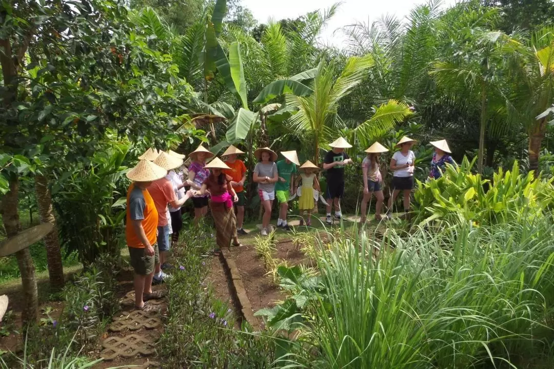 Balinese and Indonesian Cooking Class by MEXX Cooking School