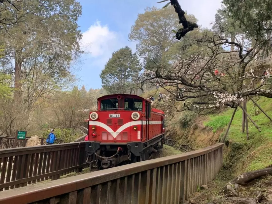 Car charter for Chiayi - Alishan & Fenchi Lake (Departure from Chiayi)