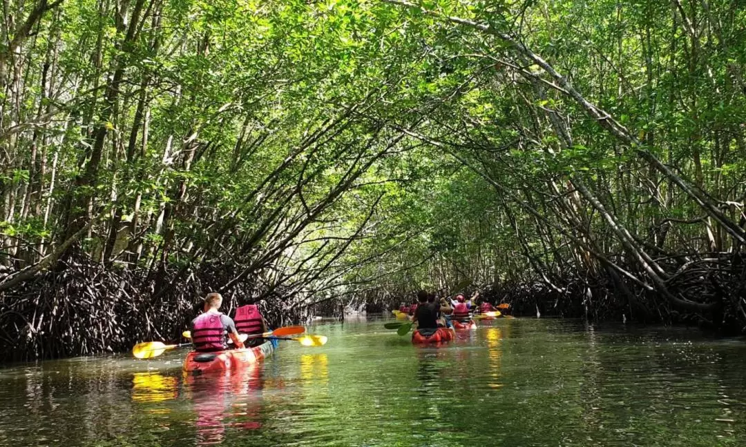 Kayaking Experience at Ao Thalane Krabi