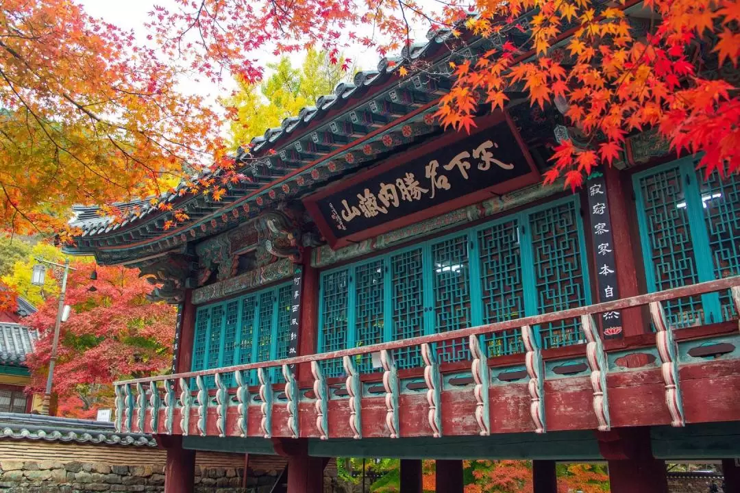 內藏山 / 雪嶽山國家公園賞楓一日遊