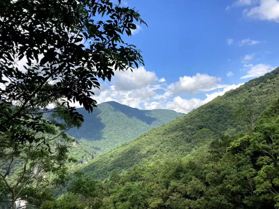 花蓮: 瓦拉米步道健行體驗