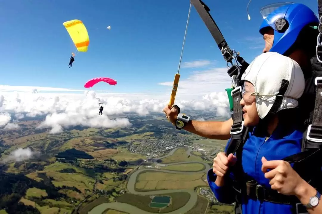 Auckland Tandem Skydive & Gannet Colony Full Day Private Tour