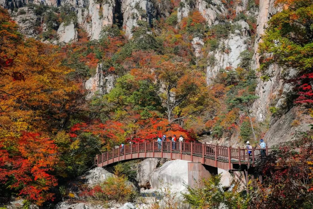 Mt. Seorak / Naksansa Temple Day Tour from Seoul