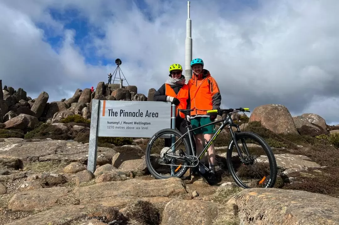 Mt Wellington Bike Ride - Summit Descent & Rainforest Adventure