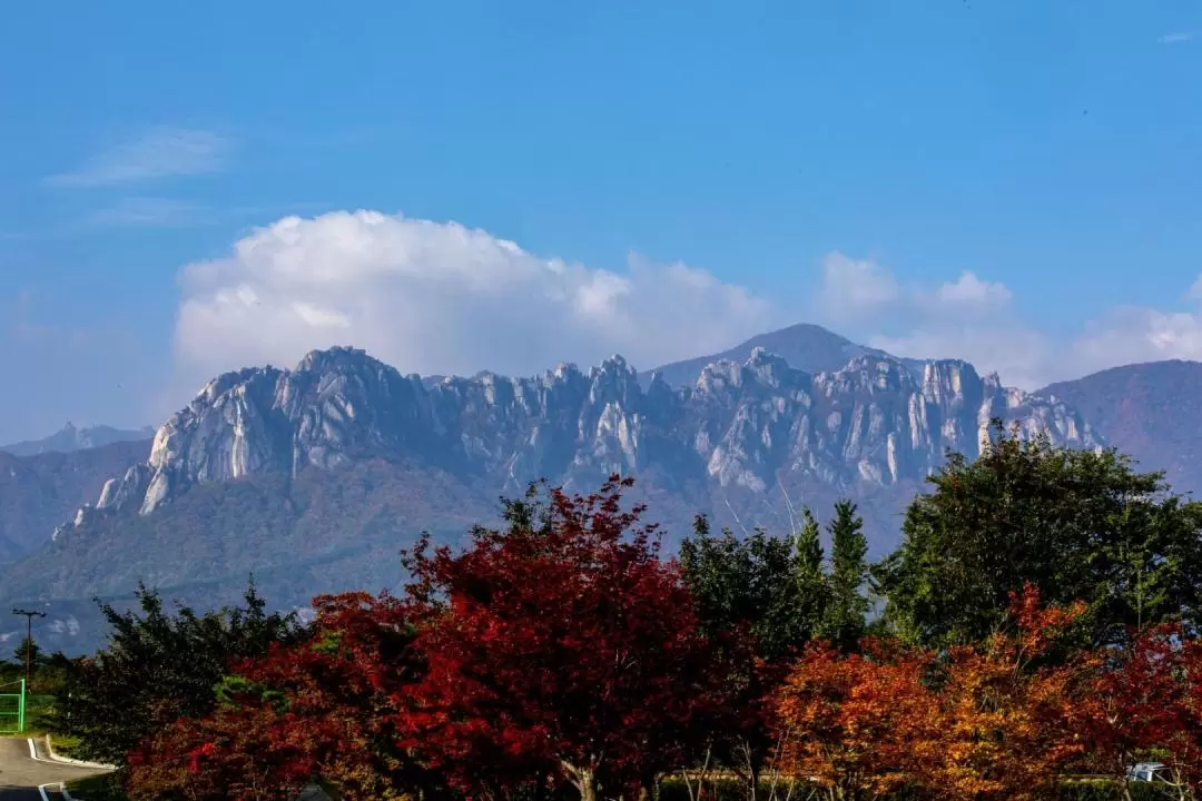 雪嶽山 & 龍門寺銀杏樹賞秋體驗