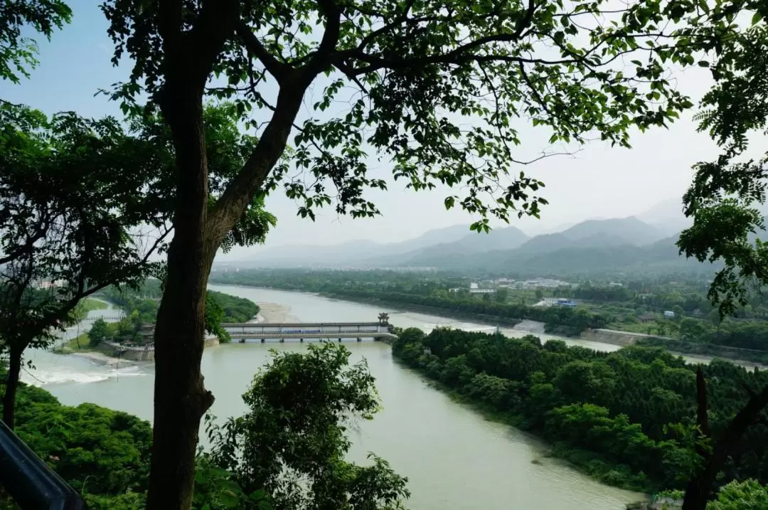  Dujiangyan Panda Base and Irrigation System Tour from Chengdu