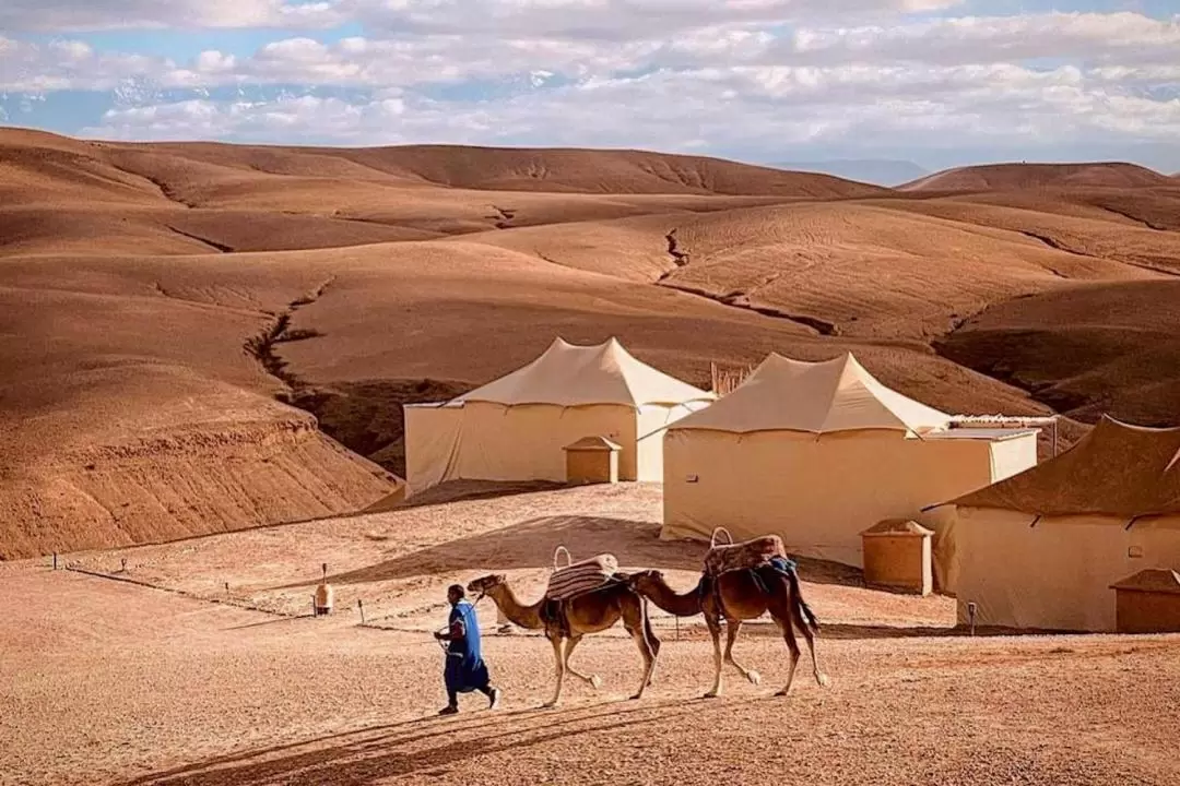 Agafay Desert and Atlas Mountain with Camel Ride from Marrakech