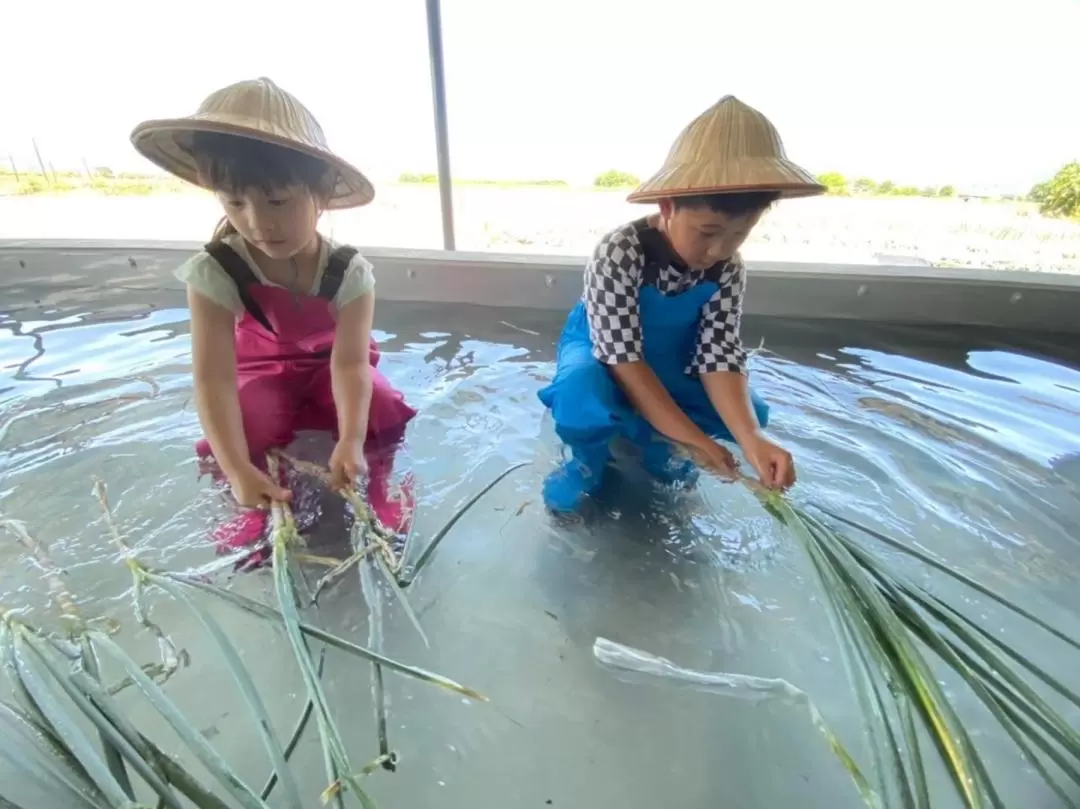 Scallion Bread DIY Experience in Yilan