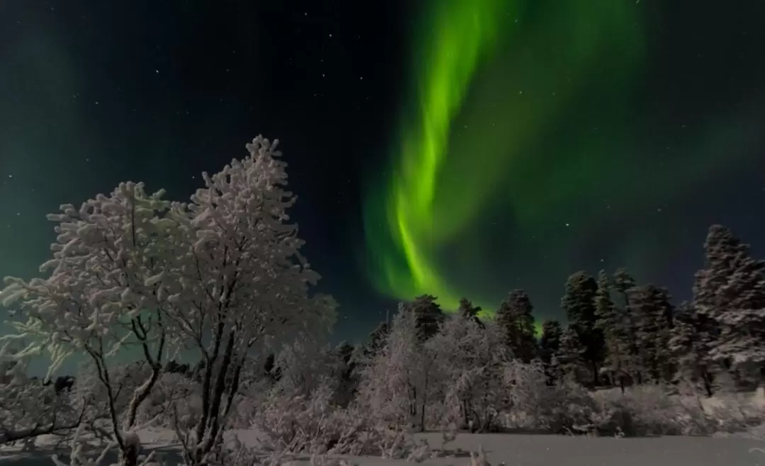 Northern Lights Chase with Lappish Barbecue from Rovaniemi