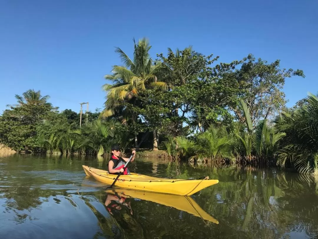 Coco Palm Forest to a Craft Village Tour with Kayaking Experience in Hoi An