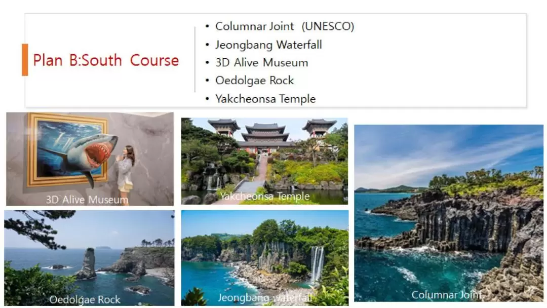 Jeju Private VIP Day Tour