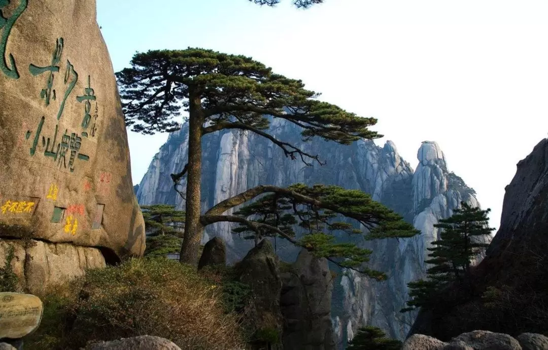 Anhui Huangshan 1-day tour