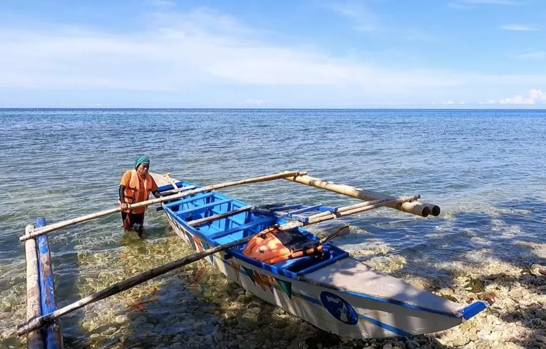 Bohol Whale Shark Interaction with Countryside Tour - Whole Day