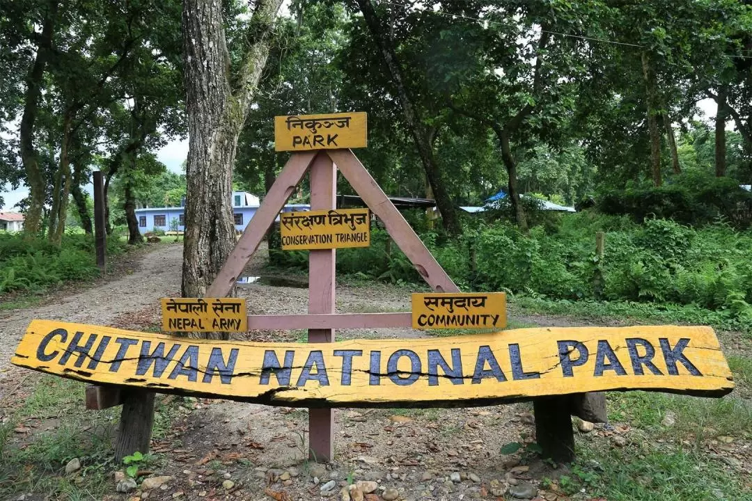 2泊3日 チトワン国立公園ツアー（ポカラ発）