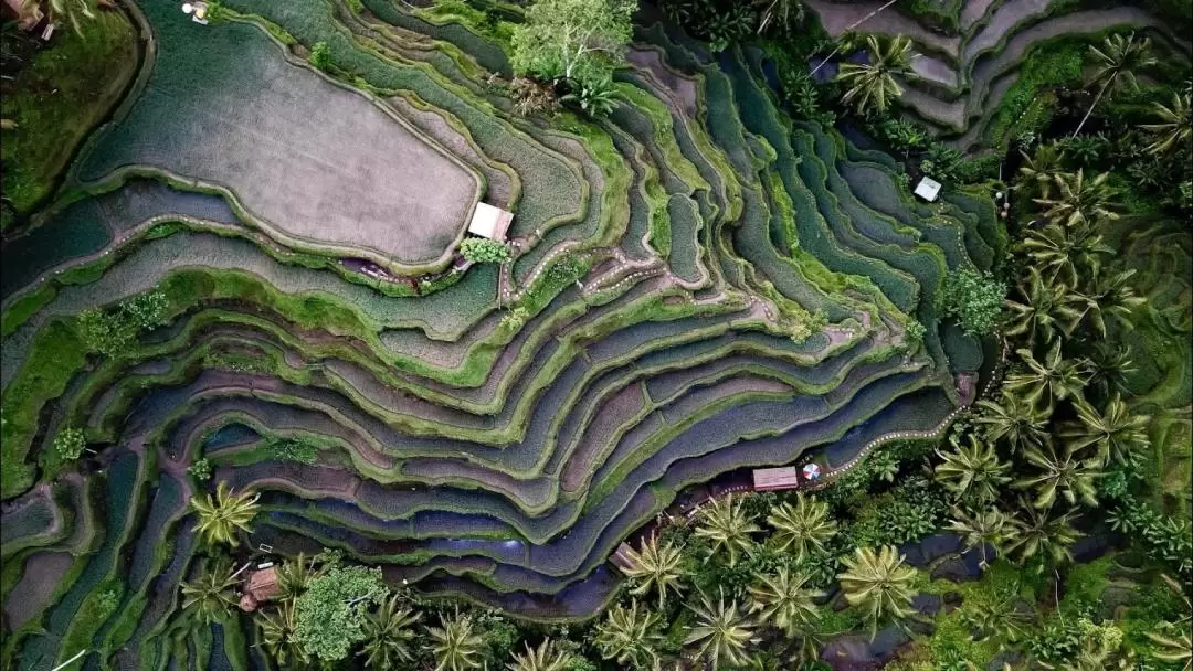 Melangit白水漂流 & 巴厘島著名景點一日遊