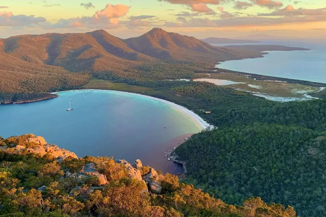 Iconic East Coast Day Tour from Hobart