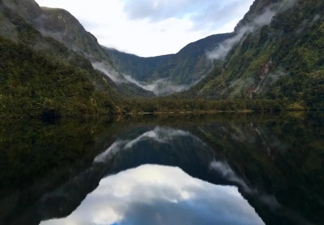 Doubtful Sound Wilderness Cruise Half Day Tour