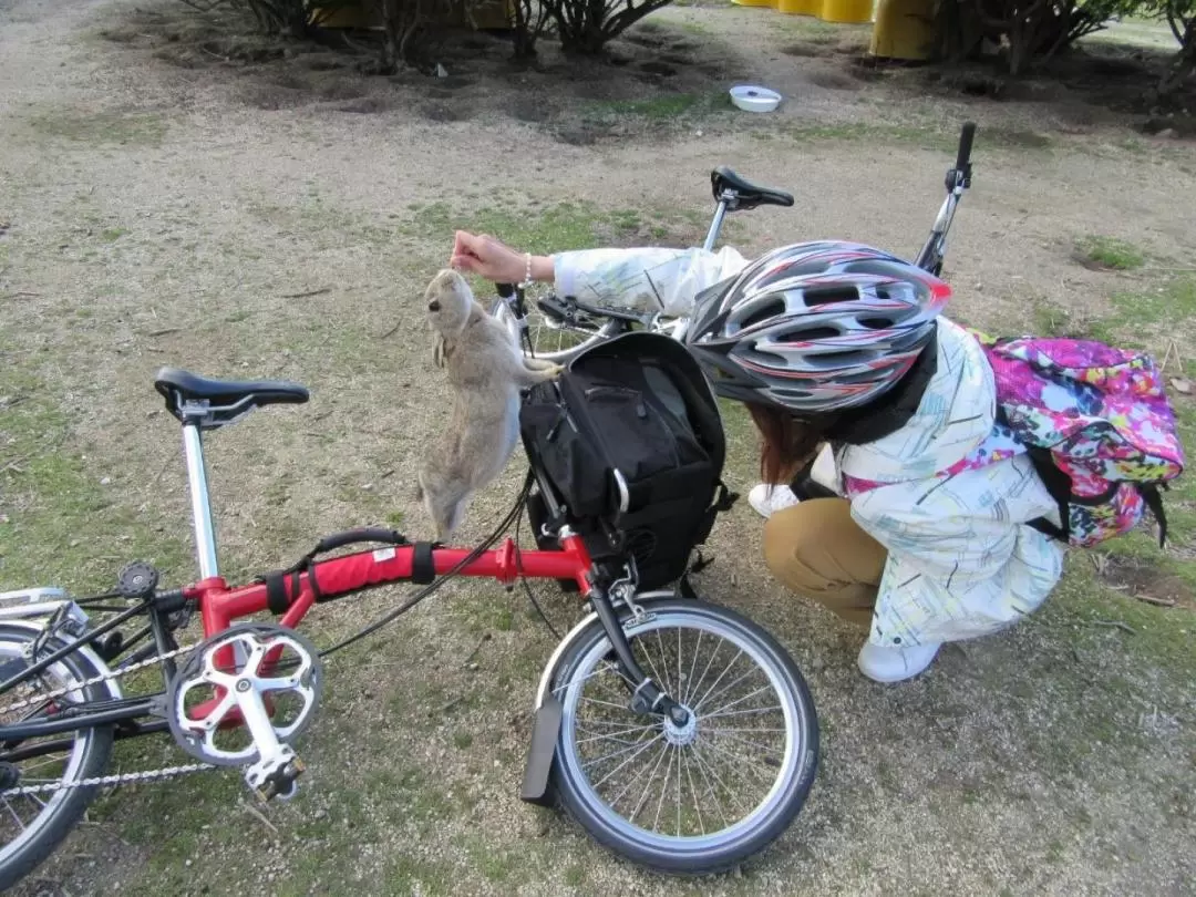 Rabbit Island and Cycling Experience in Hiroshima