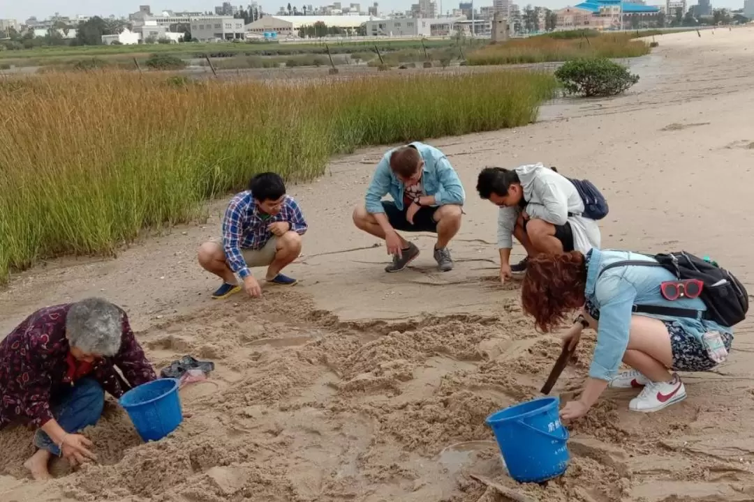 Kinmen｜Wild golden clam collection experience & shochu snail making