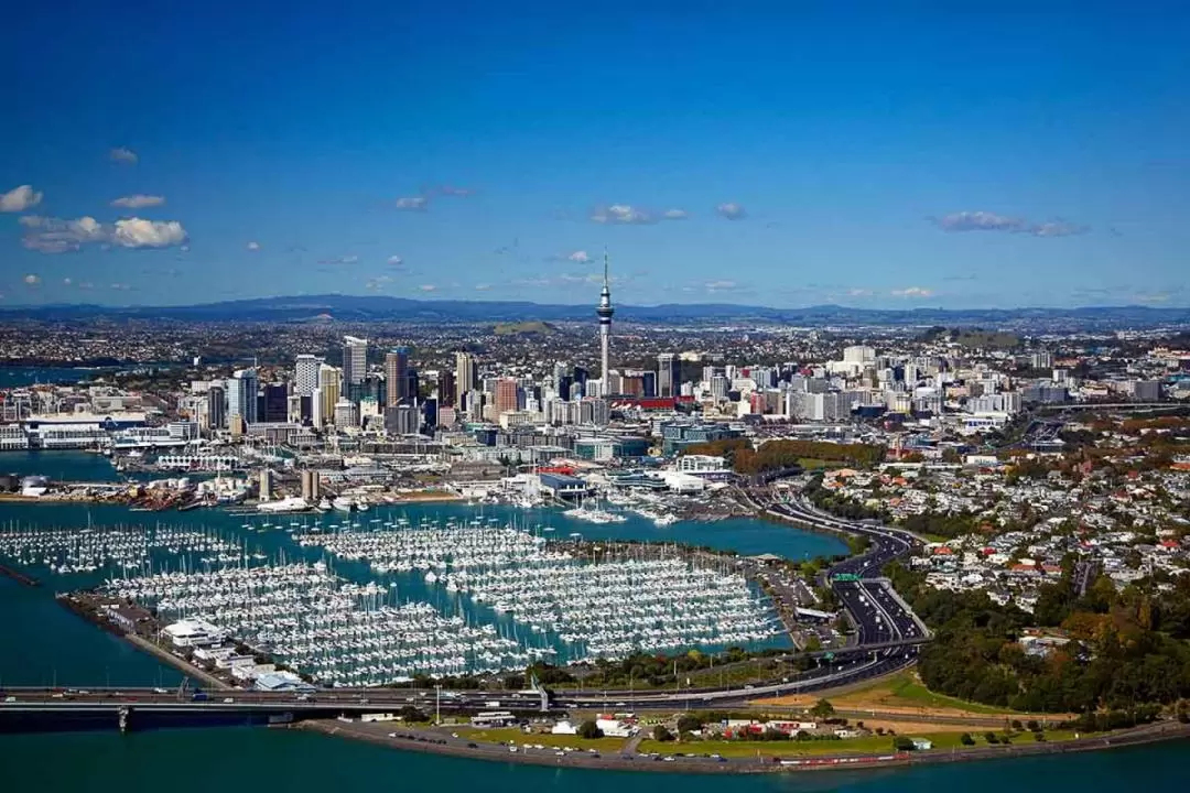 Best of Both Worlds City and Nature Day Tour from Auckland