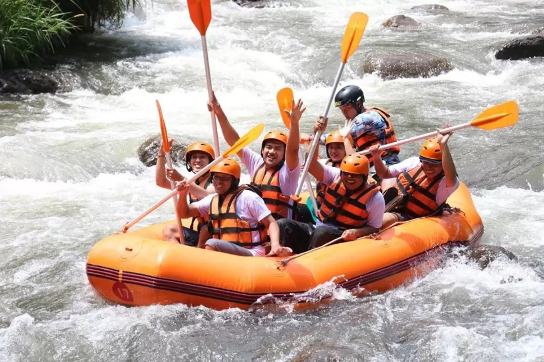 Ayung White Water Rafting and Ubud River Tubing Adventure in Bali by Toekad Adventure