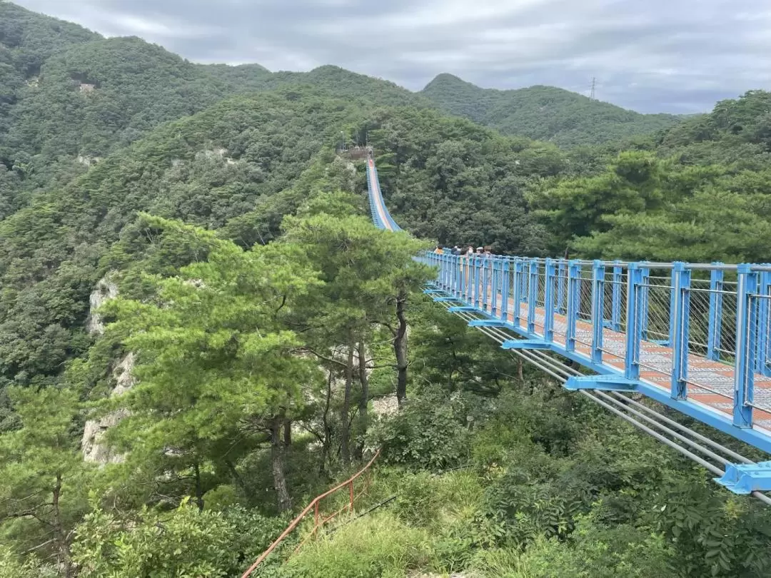 原州 日帰りツアー（ソウル発）