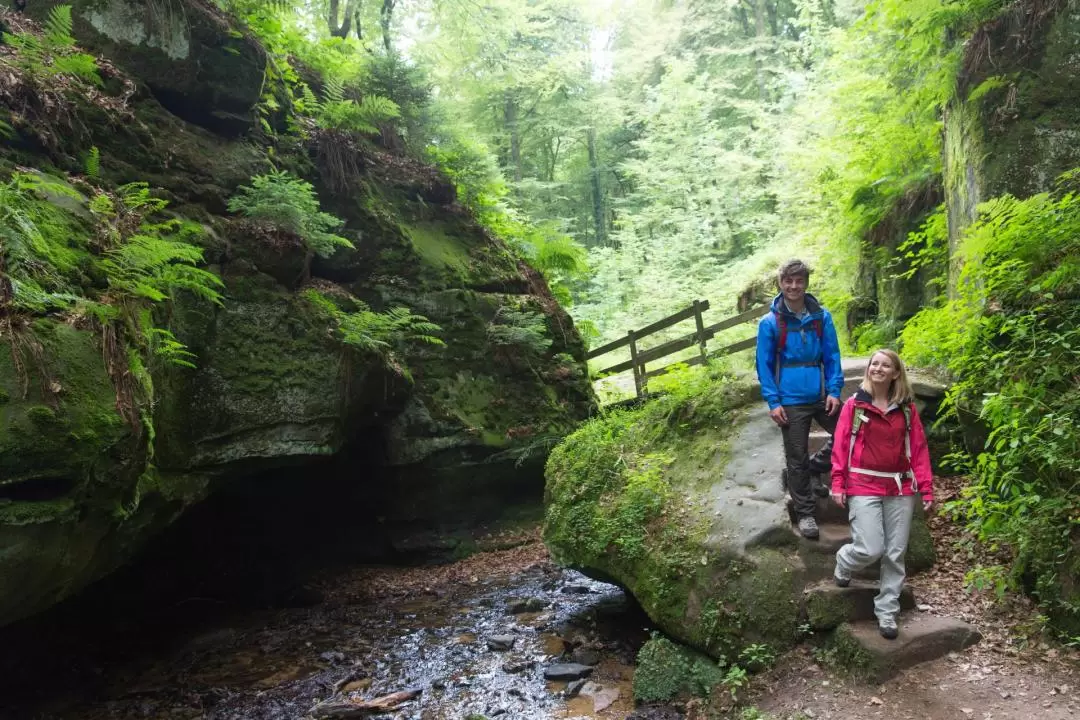 Nature and Castle Day Tour in Luxembourg