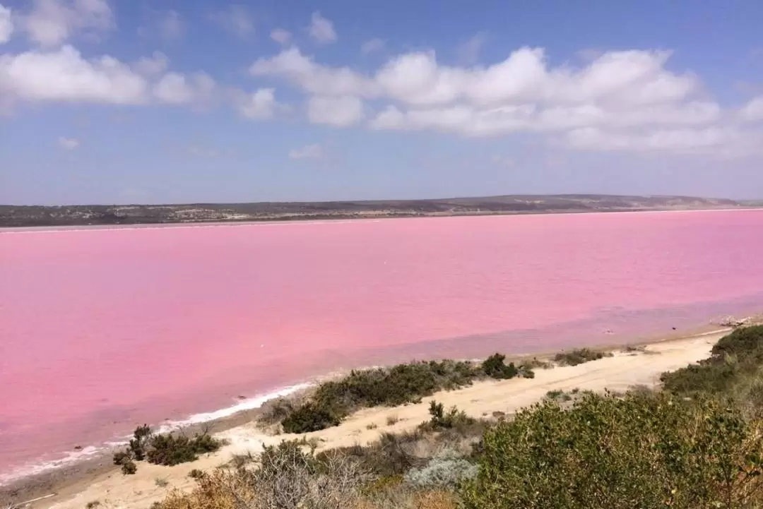 Pink Lake 3D2N Tour with Chinese Speaking Guide