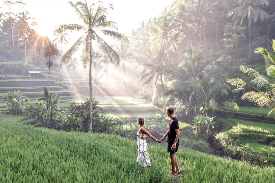 Ubud Highlights And Lempuyang Gate of Heaven Sunset Private Tour