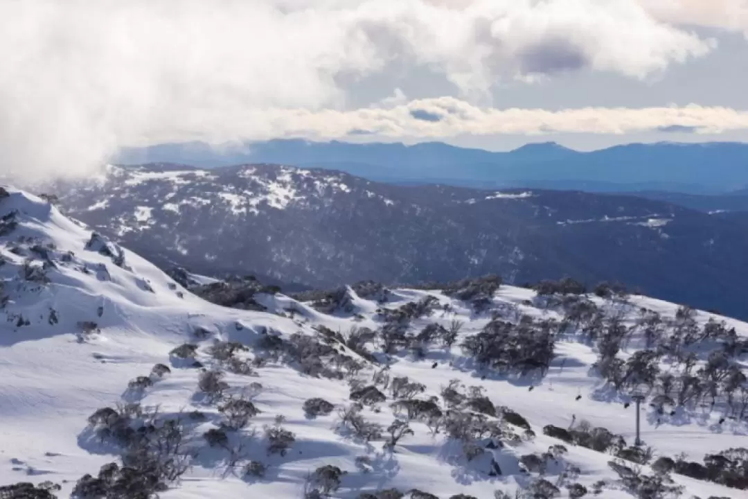 Perisher 滑雪一日遊（雪梨出發）