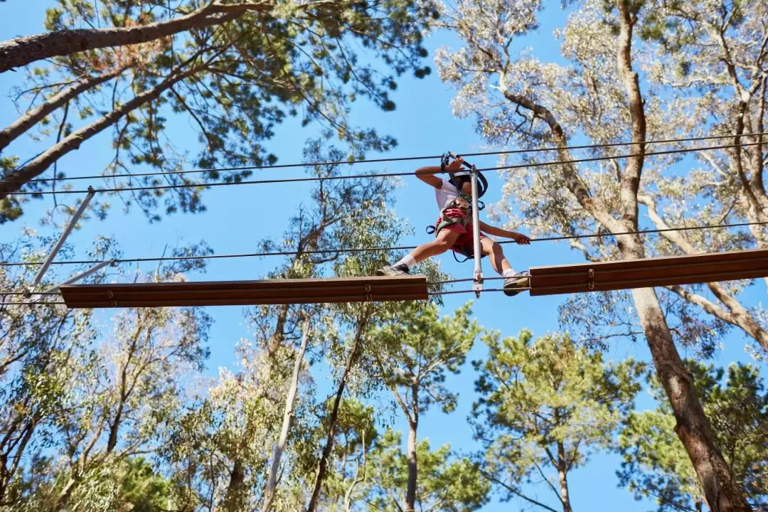 巴瑟爾頓Forest Adventures Park門票