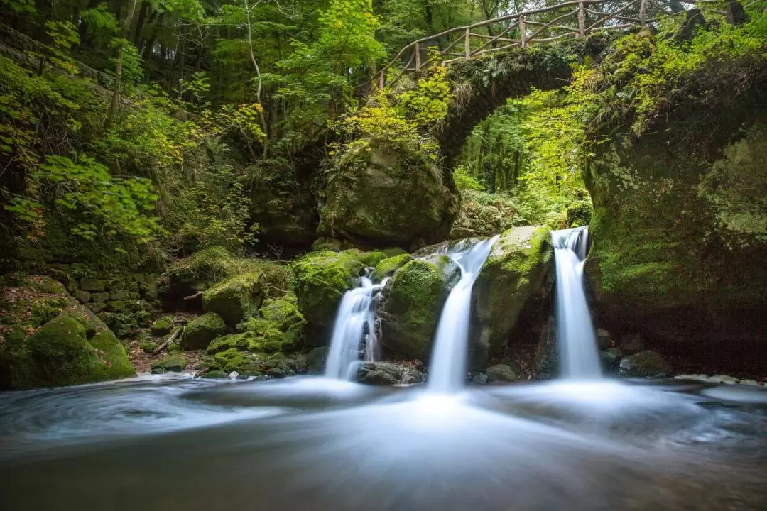 Nature and Castle Day Tour in Luxembourg