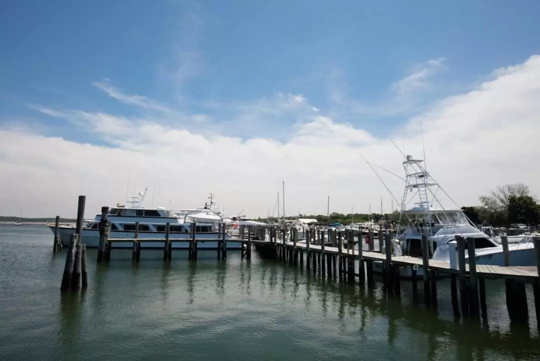 Southampton, Sag Harbor, and Outlet Shopping Tour from New York