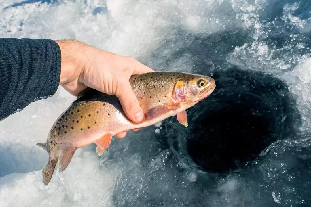 Ice Fishing Lapland Experience from Rovaniemi