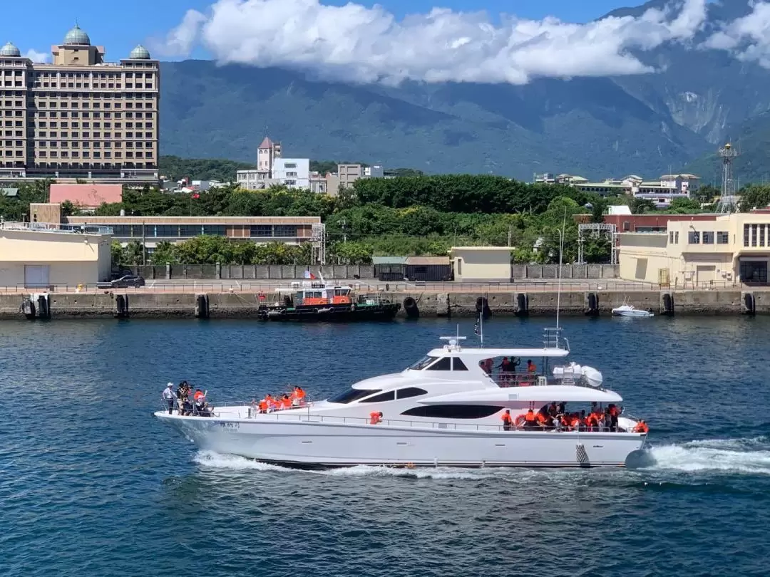 Whale Watching in Hualien with Venus Yacht