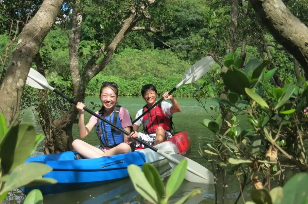 Mangrove Kayaking and Fishing Experience in Okinawa