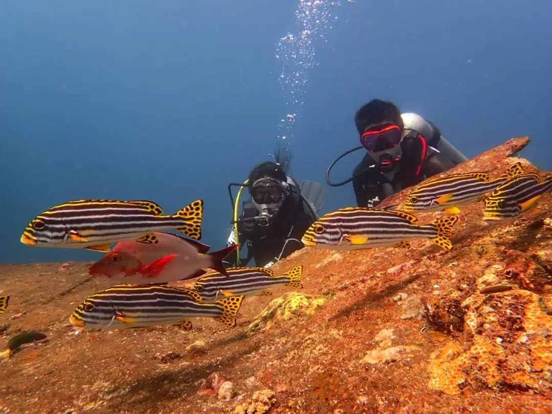 巴厘島東部水肺潛水體驗（Bali Aqua Dive Center提供）