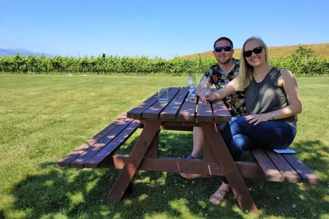 Marlborough Wine Day Tour 