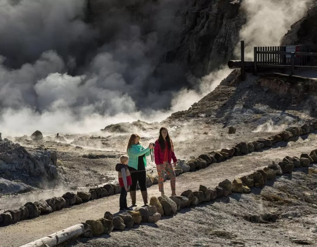 Hell's Gate Geothermal Park Ticket with Optional Spa in Rotorua