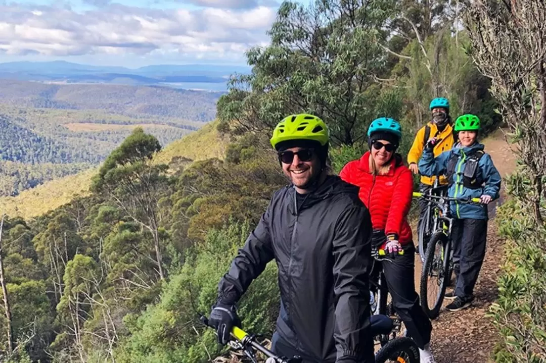 Mt Wellington Bike Ride - Summit Descent & Rainforest Adventure