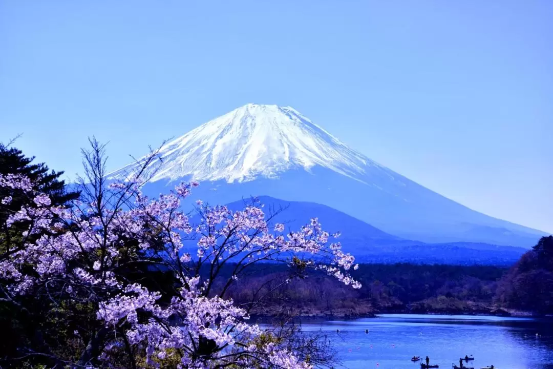 富士山一日遊（東京出發）