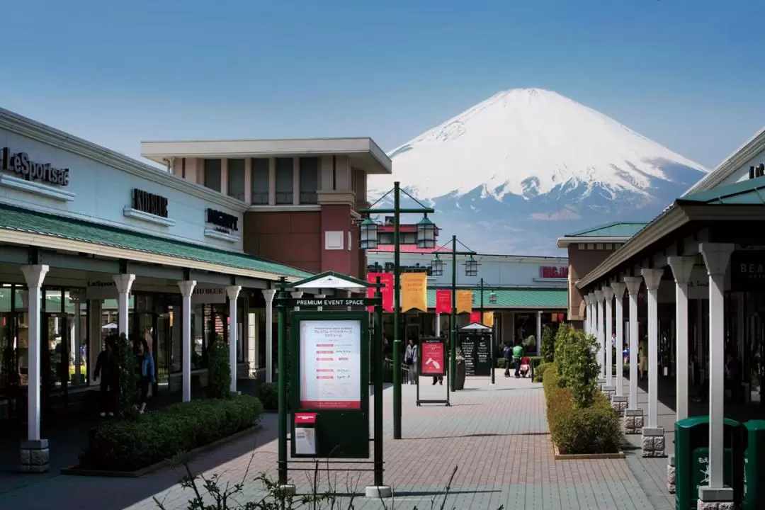 Mount Fuji Panoramic View & Shopping One Day Tour from Tokyo