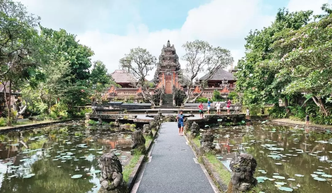 Best of Bali Day Tour for Korean Elderly