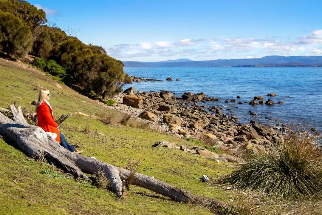 Wineglass Bay and Wildlife Aeroplane Tour from Hobart