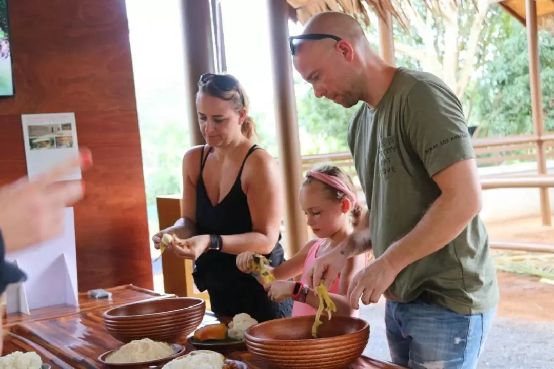 Elephant Feeding Experience in Samui