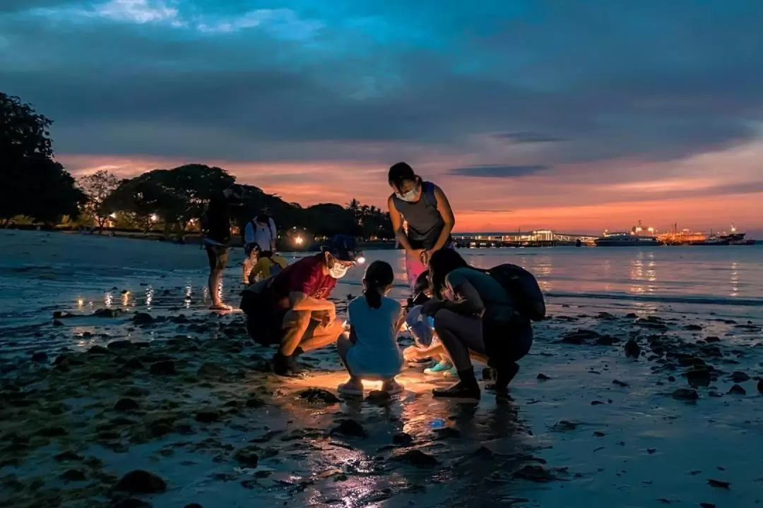 新加坡Marine Scientist Day Camp海洋營地體驗