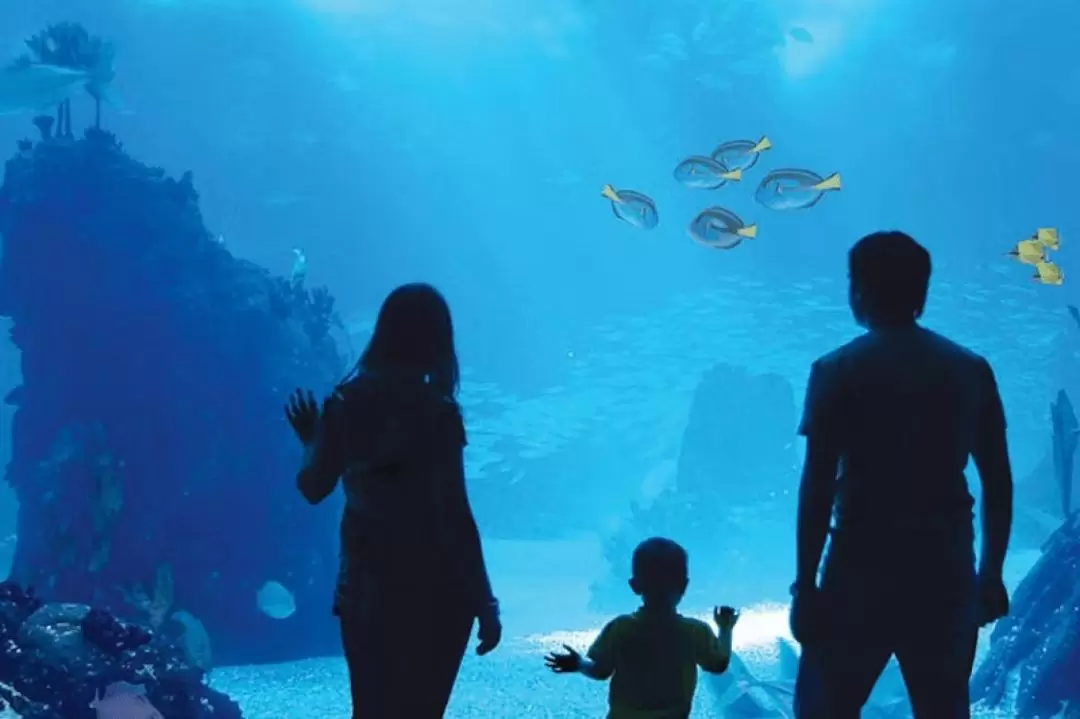 Antalya Aquarium and Face 2 Face Wax Museum Admission in Antalya