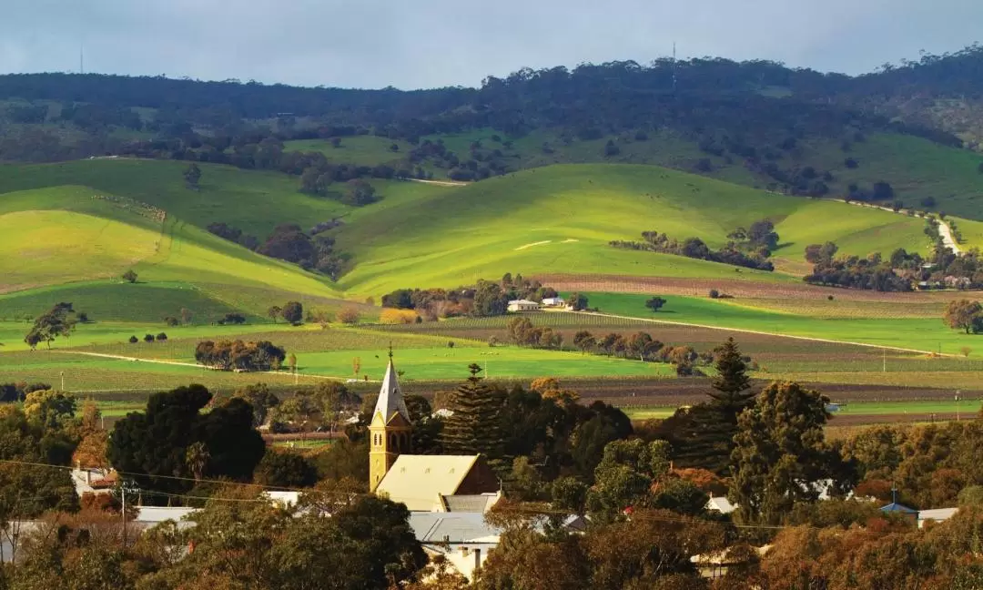 Barossa Valley Hop-On Hop-Off Wine Tour from Adelaide